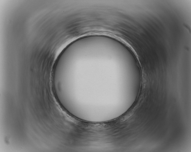 X0000103941533200809191136