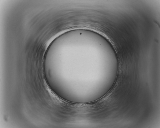 X0000103941534200809191136