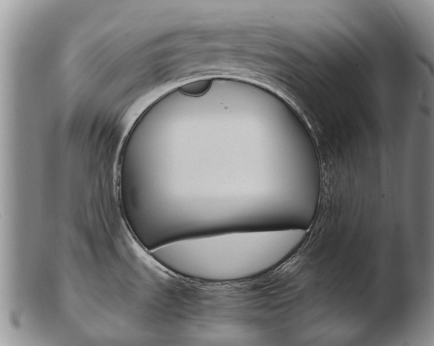 X0000103941535200809191136