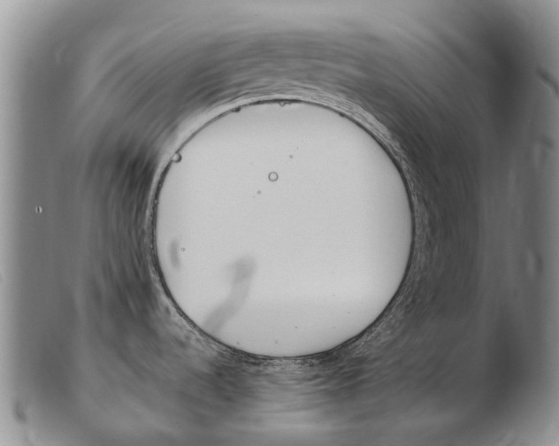 X0000103941536200809191136