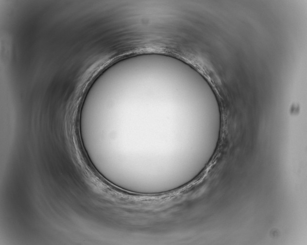 X0000103940001200809191428