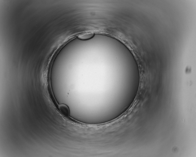 X0000103940002200809191428