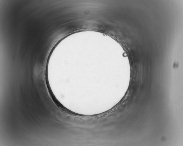 X0000103940003200809191428