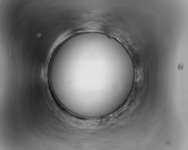 X0000103940004200809191428
