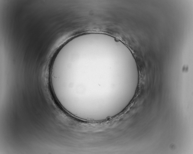 X0000103940005200809191428
