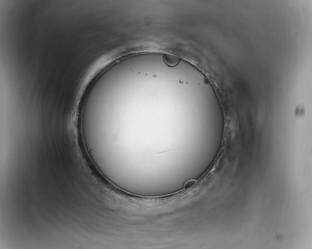 X0000103940006200809191428