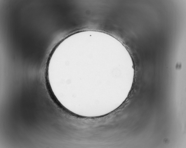 X0000103940007200809191428