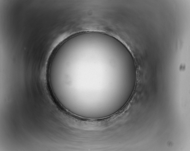 X0000103940008200809191428