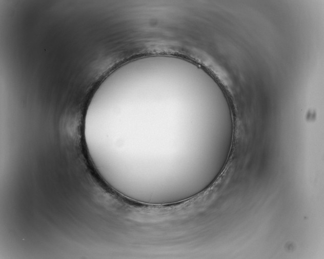 X0000103940009200809191428