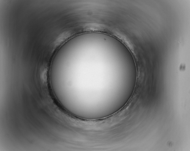 X0000103940010200809191428