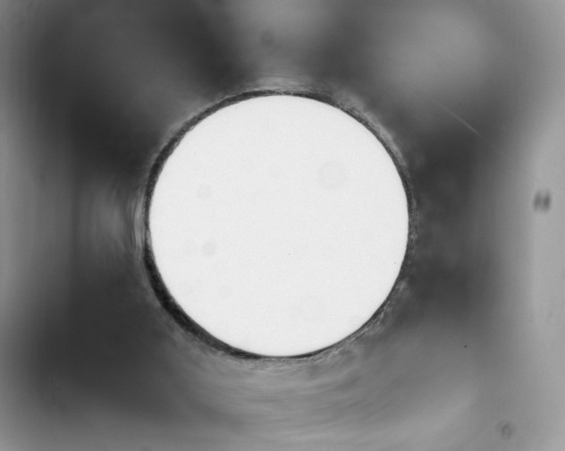X0000103940011200809191428