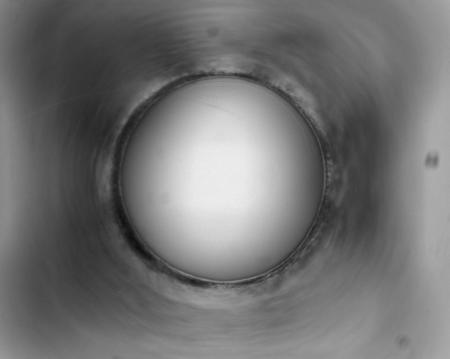 X0000103940012200809191428