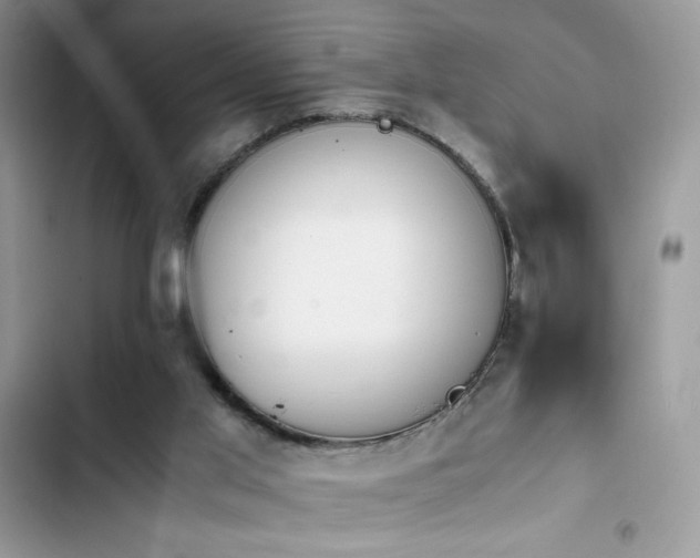 X0000103940013200809191428