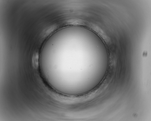 X0000103940014200809191428