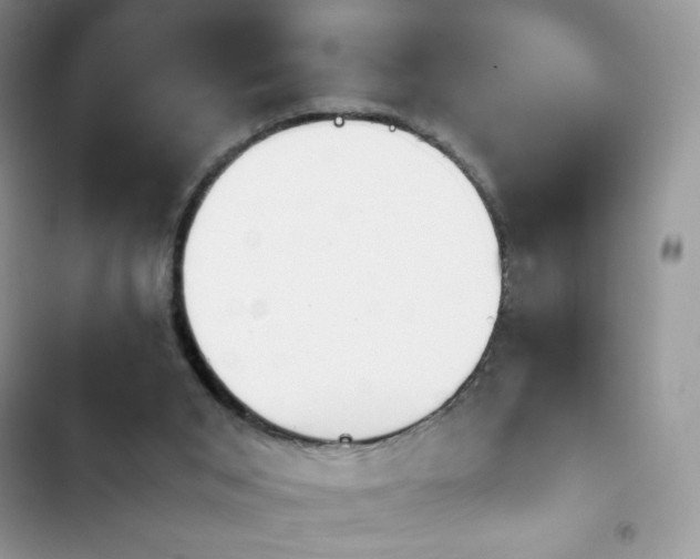 X0000103940015200809191428