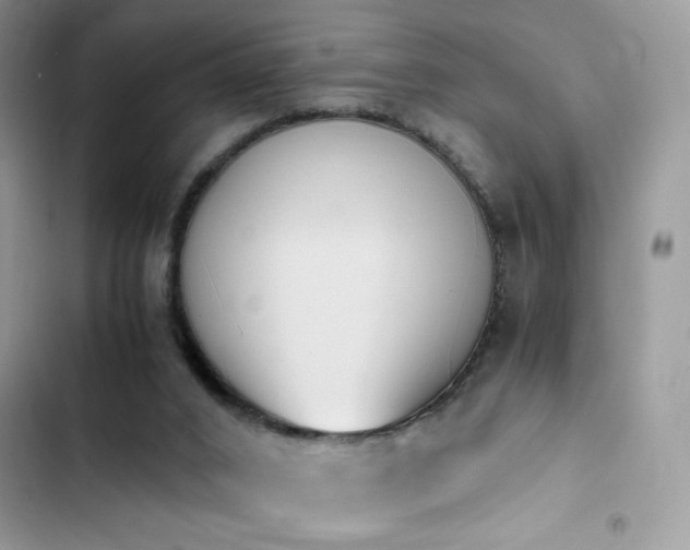 X0000103940016200809191428