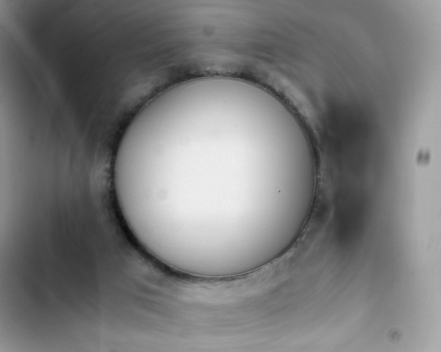 X0000103940017200809191428