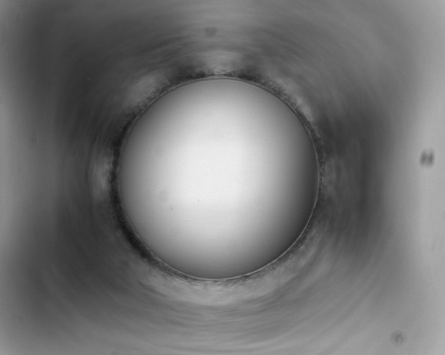 X0000103940018200809191428