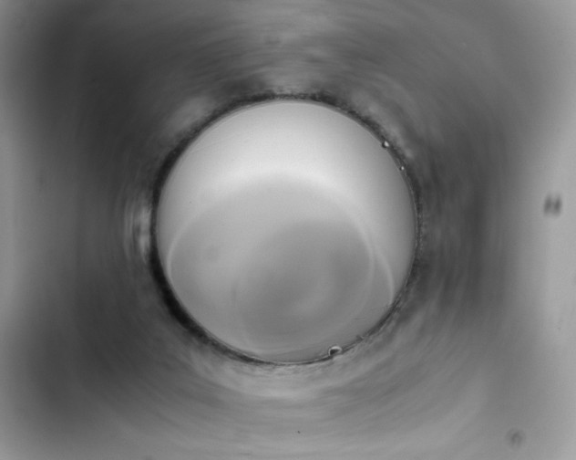 X0000103940019200809191428