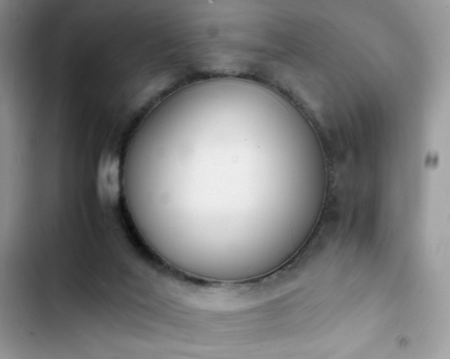 X0000103940020200809191428