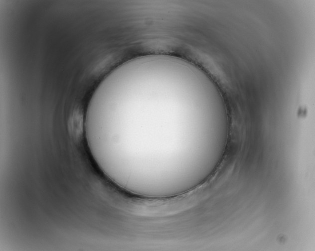 X0000103940021200809191428
