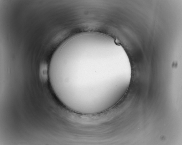 X0000103940022200809191428
