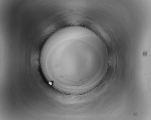 X0000103940023200809191428
