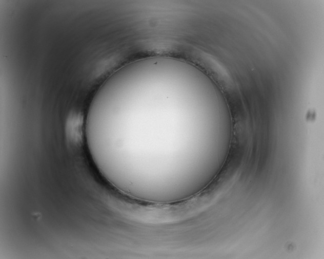 X0000103940024200809191428