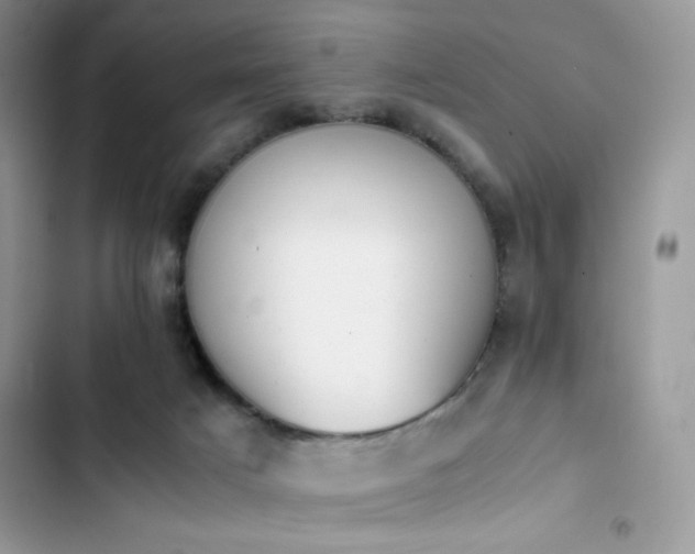 X0000103940025200809191428