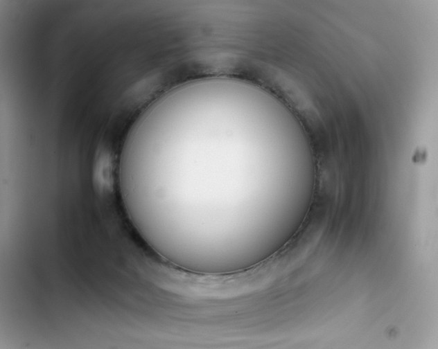 X0000103940026200809191428