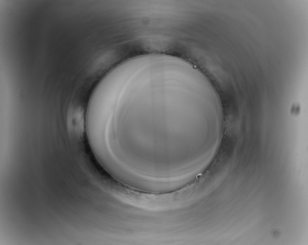 X0000103940027200809191428