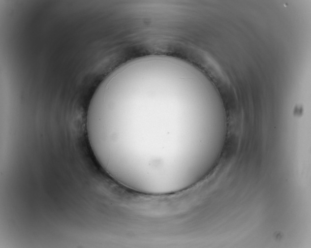 X0000103940029200809191428