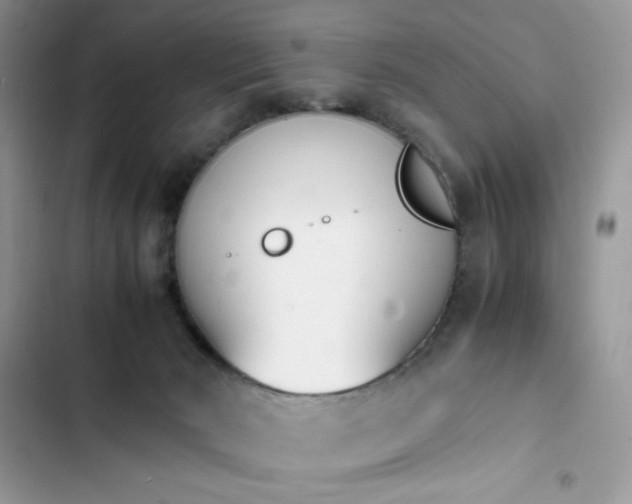 X0000103940030200809191428