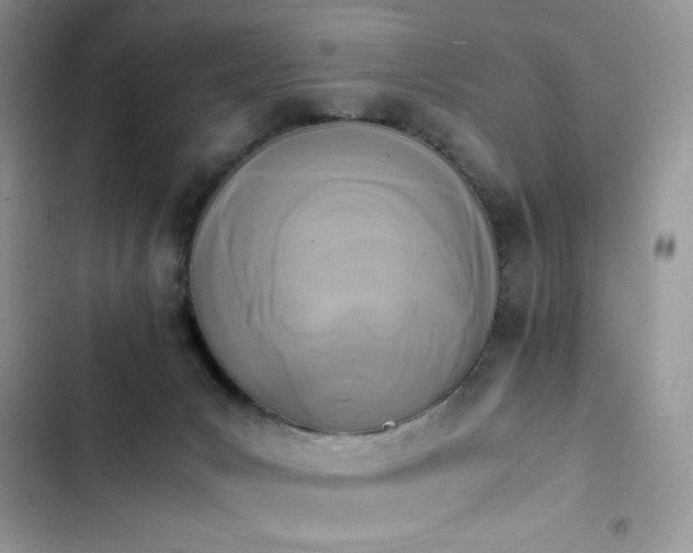 X0000103940031200809191428