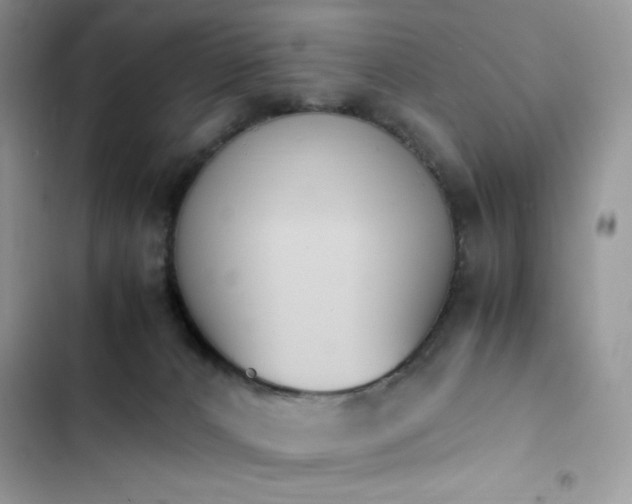 X0000103940032200809191428