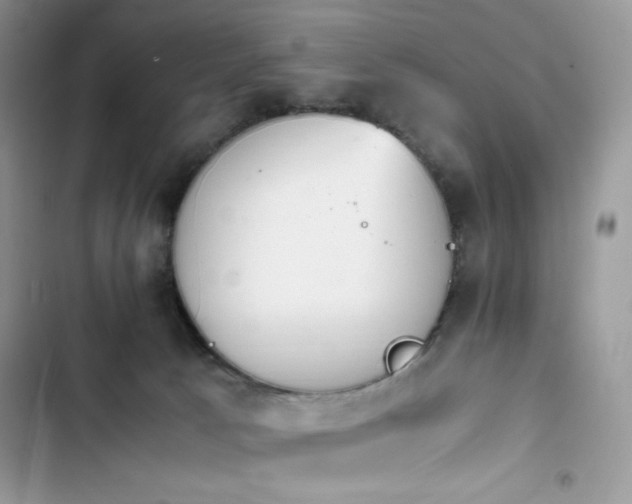 X0000103940033200809191428