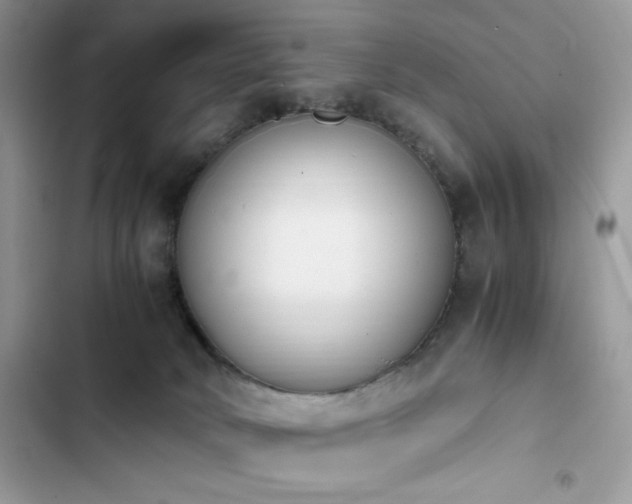 X0000103940034200809191428