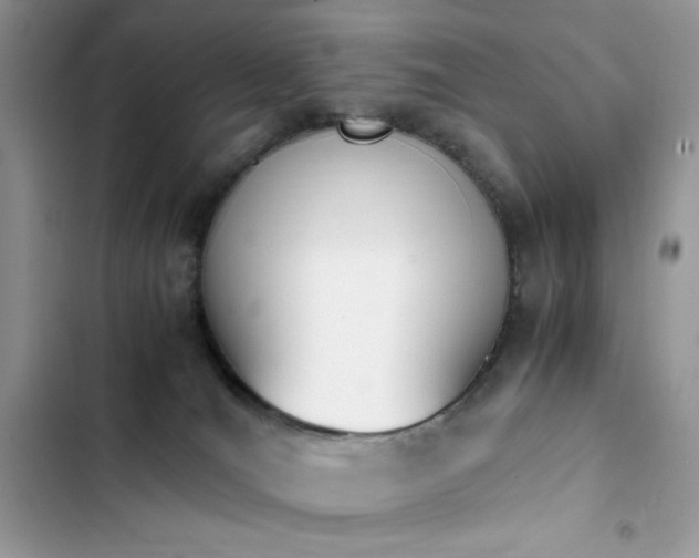 X0000103940036200809191428
