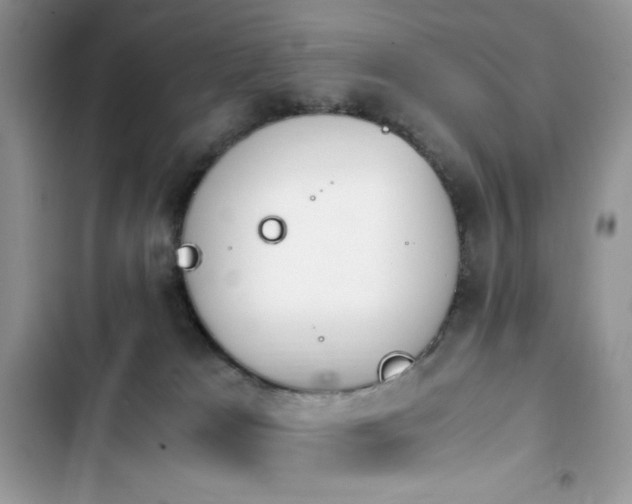 X0000103940037200809191427