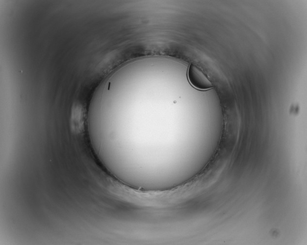 X0000103940038200809191427