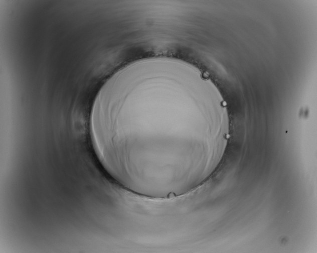 X0000103940039200809191427