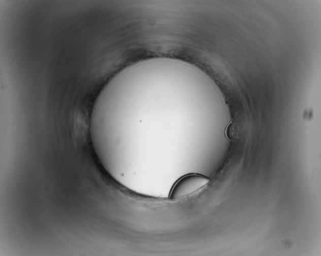 X0000103940040200809191427