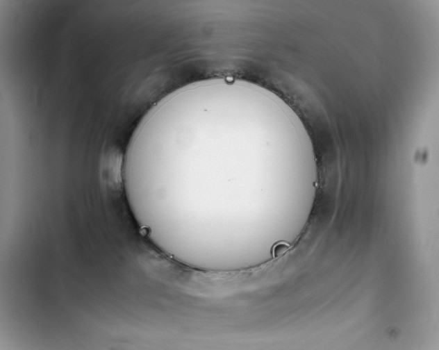 X0000103940041200809191427