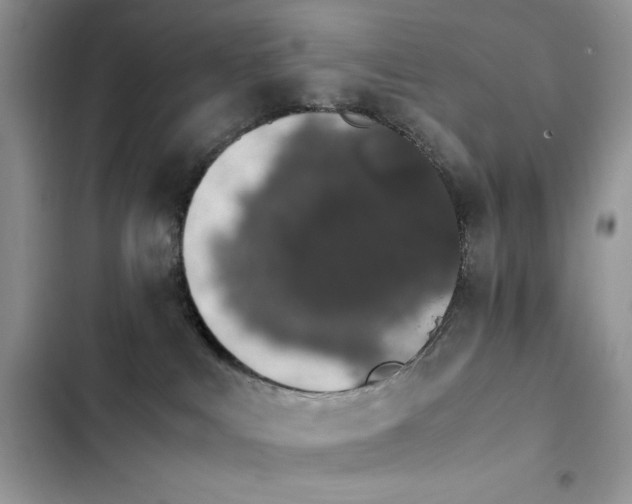 X0000103940043200809191427