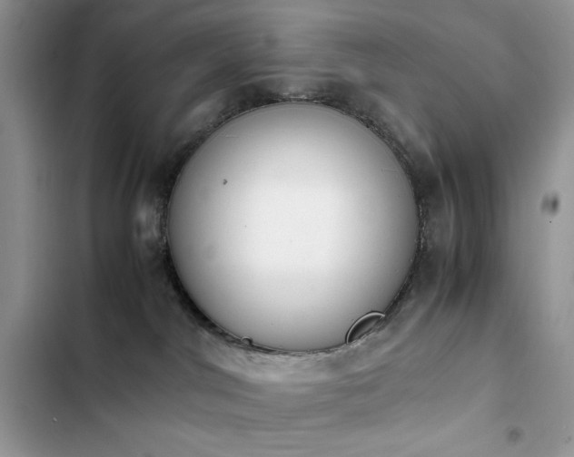 X0000103940044200809191427