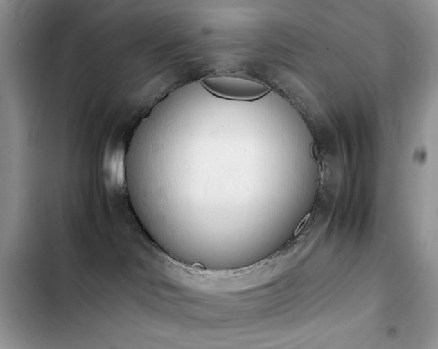 X0000103940046200809191427