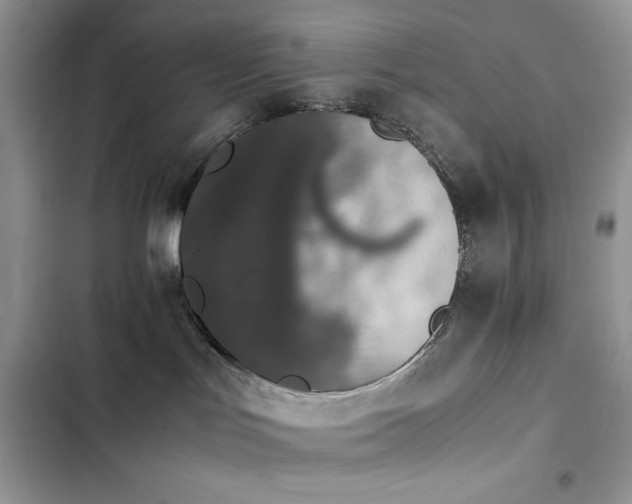 X0000103940047200809191427