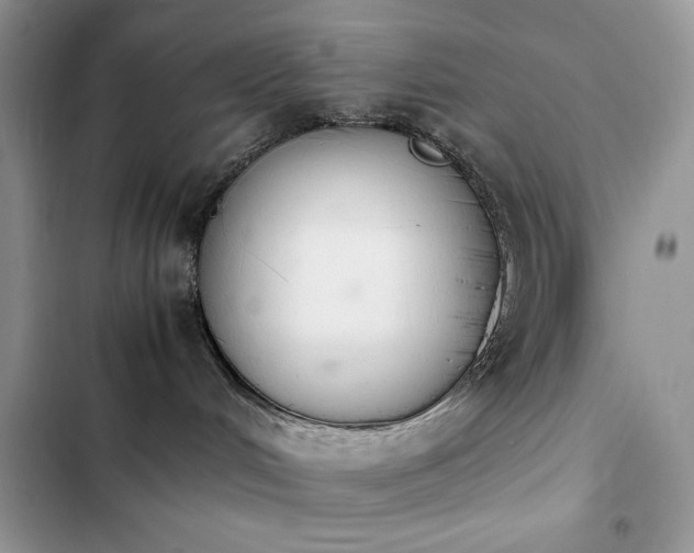 X0000103940048200809191427