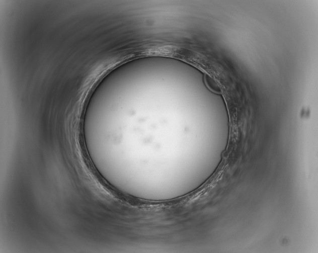 X0000103940049200809191426