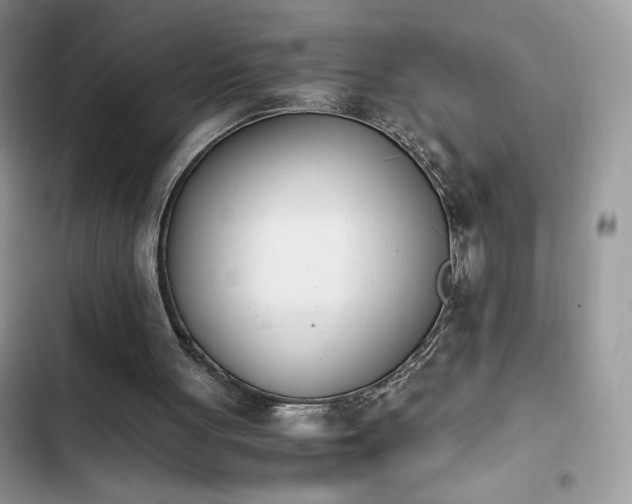 X0000103940051200809191426